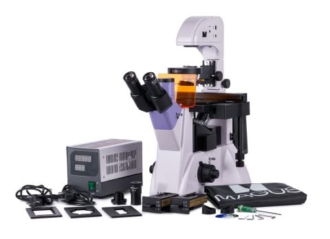 MAGUS Lum V500 Floresan İnverted Mikroskop