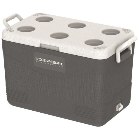 IcePeak CoolCraft 46 Buzluk 41.6 Litre - FÜME
