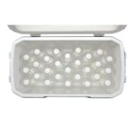 Coleman Poly-Lite 48 QT Taşınabilir Soğutucu Buzluk 45.7 Lt - Görsel 5