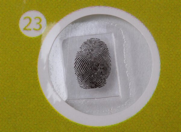 erkamp-outdoor-Levenhuk LabZZ P12 Bitkiler Hazırlanmış Slayt Seti