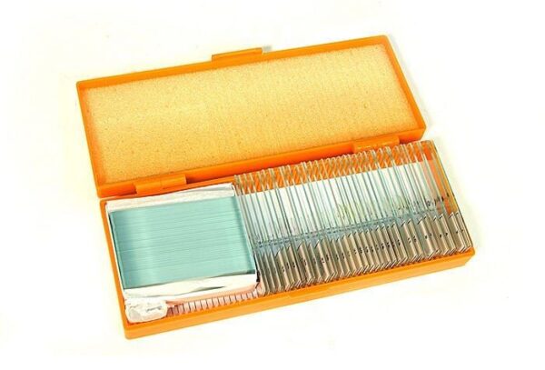 erkamp-outdoor-Levenhuk N38 NG Hazırlanmış Slayt Seti