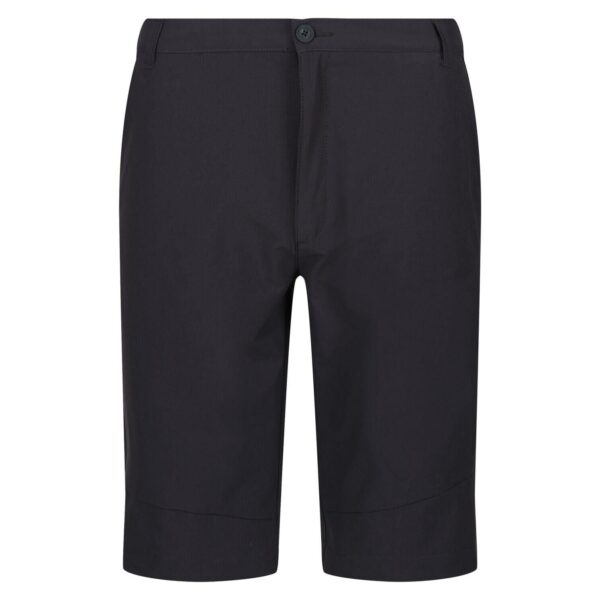 erkamp-outdoor-Regatta Highton ShortLong Erkek Şort-GRİ