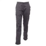 erkamp-outdoor-Regatta Medina Trekking Kadın Pantolon-GRİ